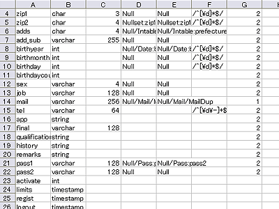 求職者のフィールド設定ファイルをエクセルで開いた例
